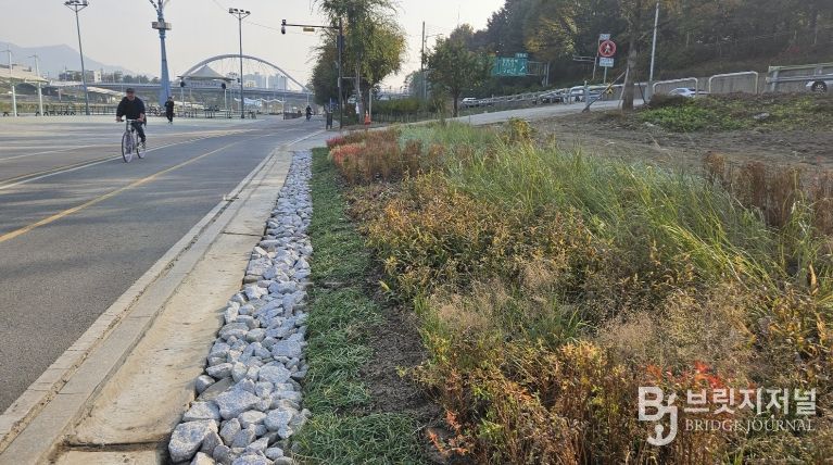 중랑천 이화교 일대에 조성된 그라스원