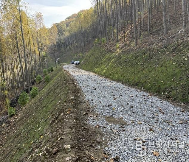 2024년 개설된 임도 조성지(신창면 창암리)