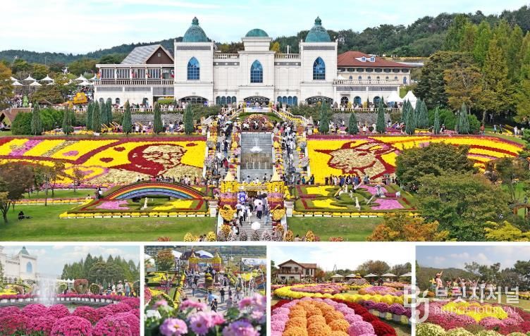 임실군, 2026년 국화 전시 재배 본격화…정성‧기술력 혼신