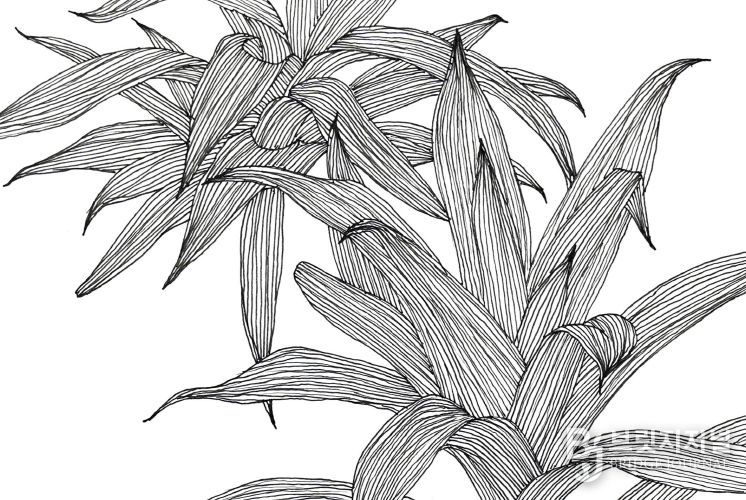 대작가 성다솜의『식물공동체』展 개최