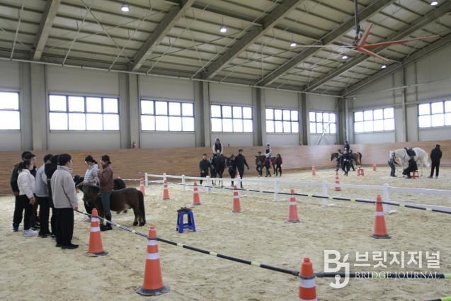 상주시,‘장애인(대학생) 재활 승마 체험’시행