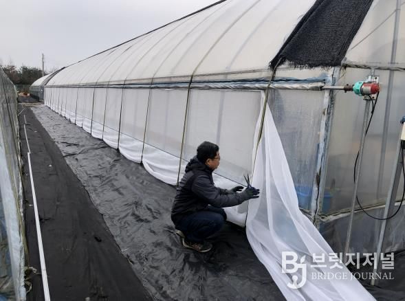 정읍시, 겨울철 시설원예 작물 관리 ‘총력’…“온·습도 균형 필수”