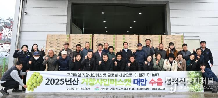 거창군 2025년산 고품질 거창 샤인머스캣, 대만 수출 첫 선적