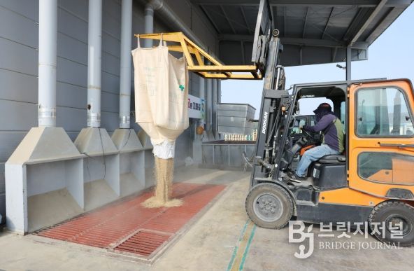 옹진군, 2025년산 공공비축미곡 산물벼 매입 추진