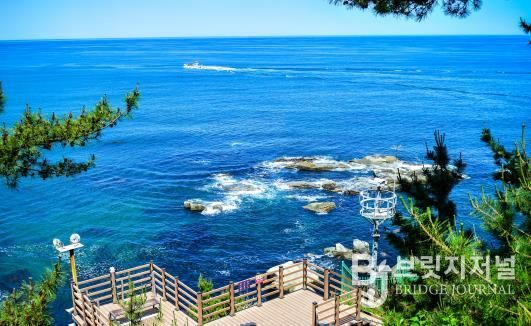 속초시 바다향기로 전경