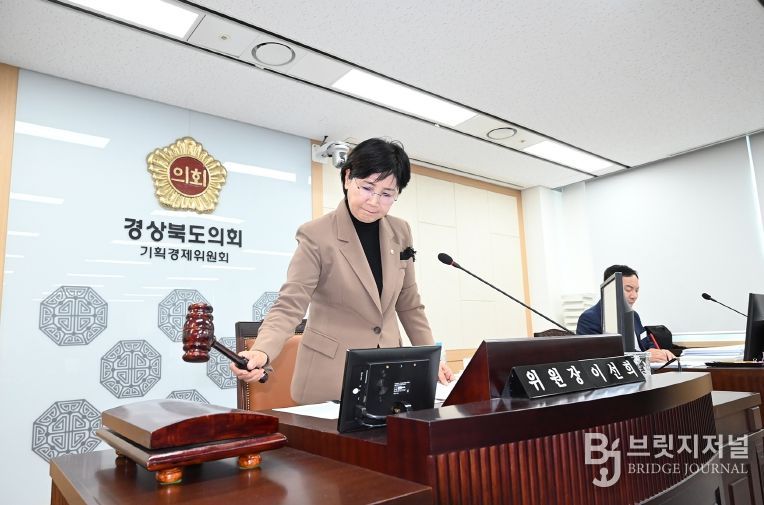 기획경제위원회 회의를 진행하는 이선희 위원장