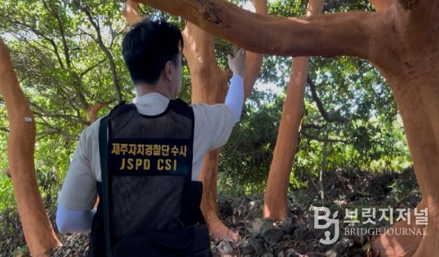 후박나무 피해현장 조사 모습