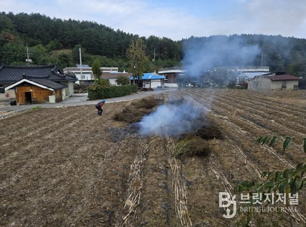 강릉시, 동절기 맞이 영농폐기물 불법 소각 집중 단속