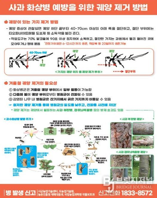 철저한 과원 관리로 과수화상병 사전 예방 당부