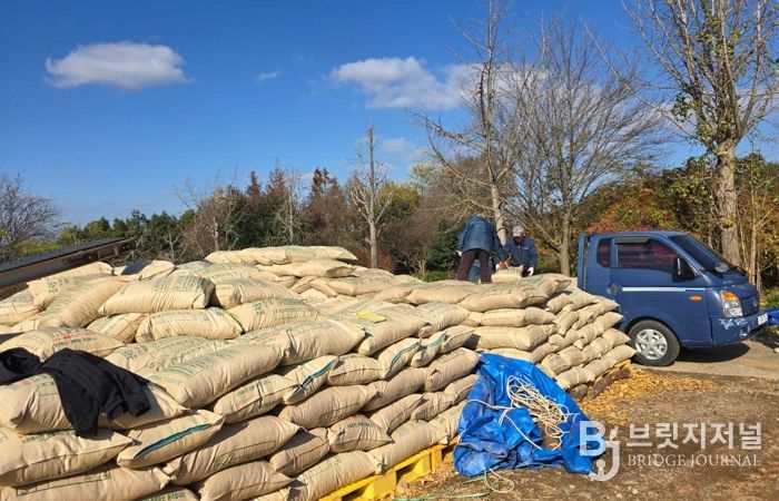 영암군, 숲 가꾸기 부산물로 만든 톱밥 축산 농가에 나눠