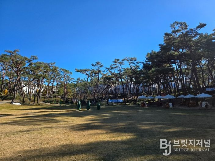 청주시, 솔밭‧장구봉근린공원 시설개선 사업