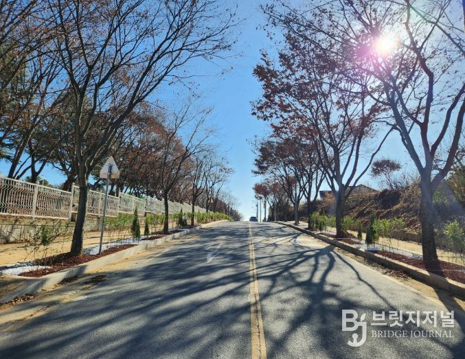 의성읍 시가지 400m ‘띠녹지 가로수길’ 조성