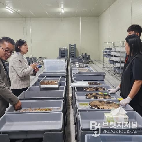 고소애 신품종 현장 실증 성과공유회 성료(농가의견청취)