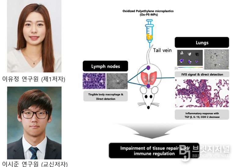 제학술지 게재 및 ‘한빛사’ 선정 겹경사