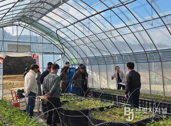 진도군, ‘지초 시범사업 결과평가회’… 지초 재배 기술 향상