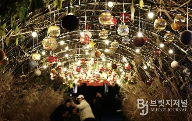 2025함평겨울빛축제 전경