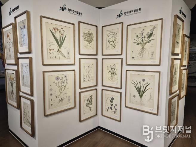 포천시, 한탄강의 아름다운 색채를 담은 압화 전시 개최