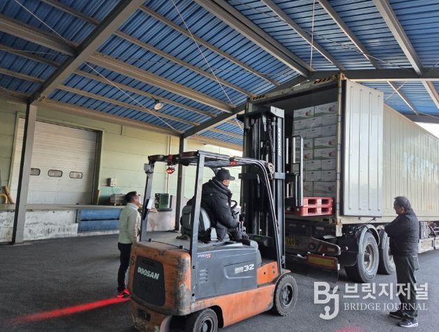 영주 사과 11톤, 싱가포르 수출길 올라