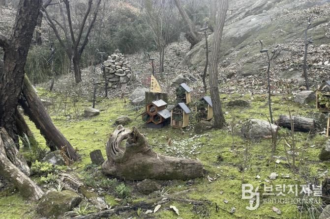 서대문구 안산(鞍山) 쉬나무 쉼터 일대 ‘이끼숲’에 조성된 일명 ‘곤충마을’