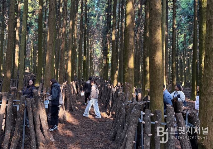 ‘버섯따기 체험 및 버섯장아찌 만들기’ 프로그램