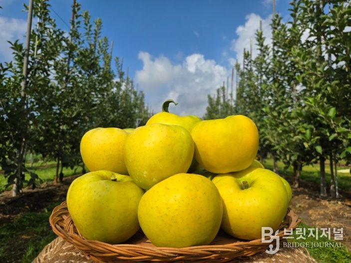 군위군, 농림축산식품부 스마트과수원특화단지조성 공모사업 최종 선정