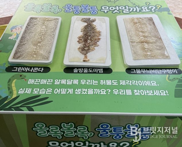 뱀 허물 만지기 체험