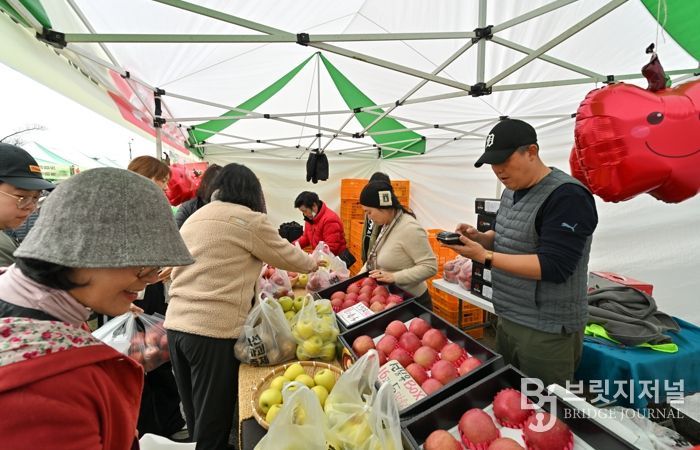 정선군, 농식품부 스마트과수원 특화단지 공모 최종 선정! 전국 대표 사과 주산지 도약 가속화!