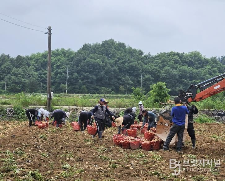 충주시, 2025년 외국인 계절근로자 사업 성료