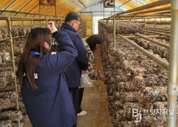 표고 생산농가 유통조사