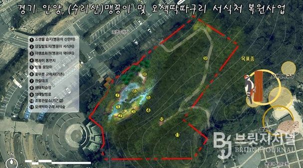 안양시, 병목안시민공원 맹꽁이・오색딱따구리 서식처 복원…국비 4.4억 확보