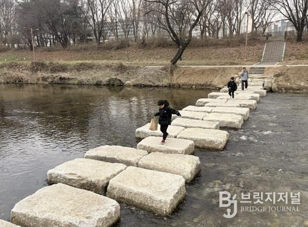 성남시 분당구 구미동 성남물빛공원~무지개마을 잇는 탄천 징검다리