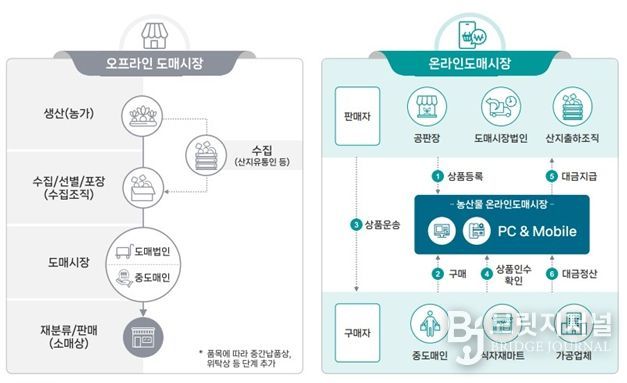산지 농수산물 유통망 안정적 구축