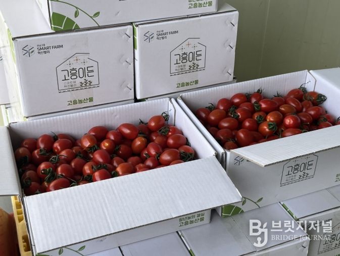스마트팜 혁신밸리 농산물 공동브랜드 ‘고흥이든’ 개발