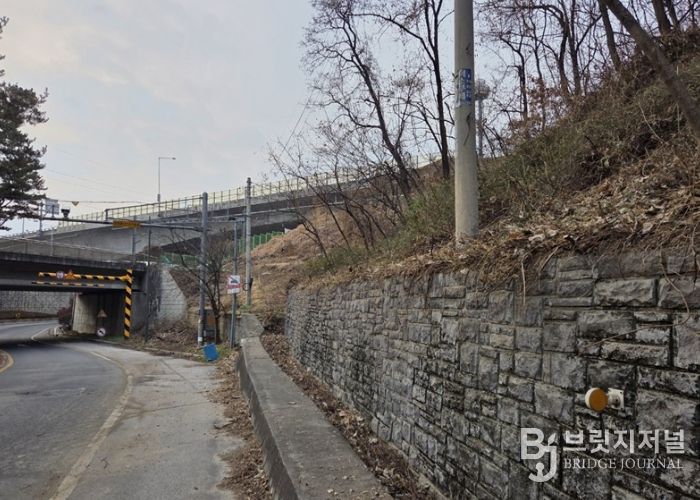 남양주시, 양정동 도심 가시박 제거로 생태환경 개선(제거 후)