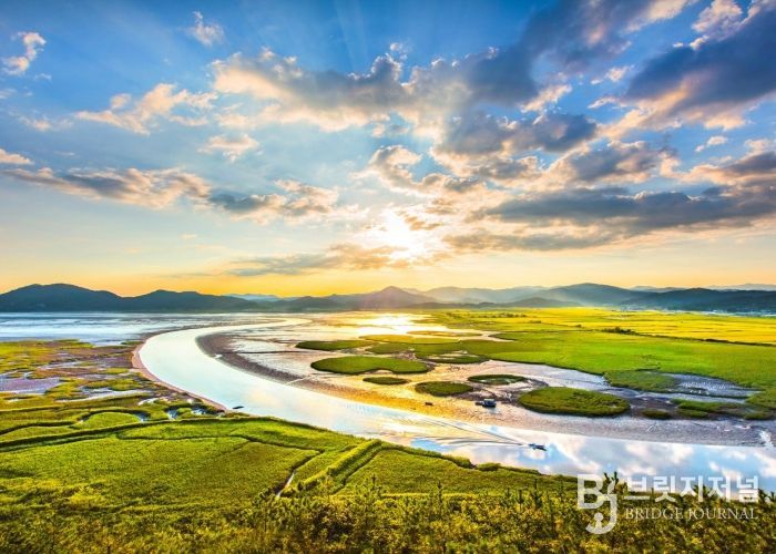 용산전망대에서 바라본 순천만습지