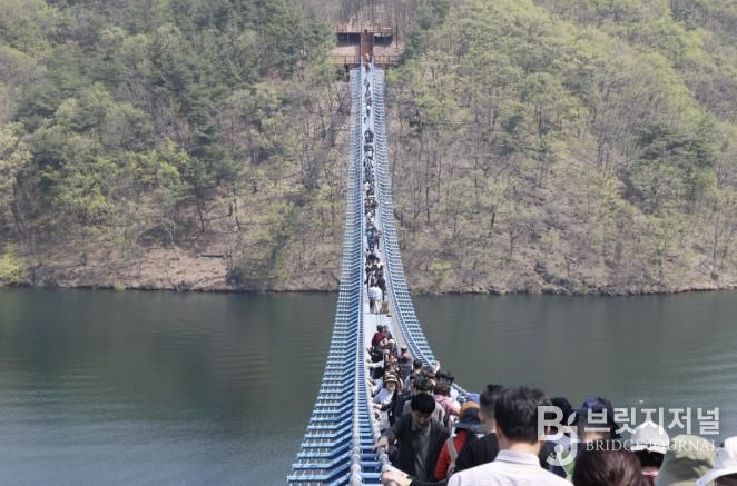 미르309 출렁다리 사진