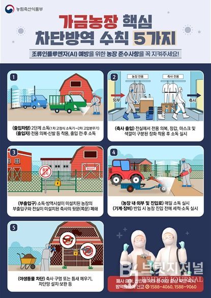 전북, 올겨울 첫 AI 발생에 14개 시군 비상방역 돌입