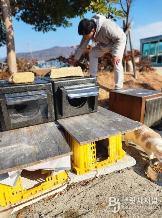 통영 고양이섬 용호도,‘고양이 겨울집’설치