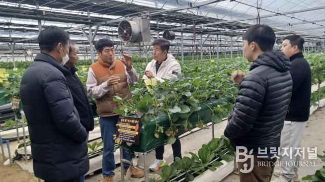광주시, 딸기연구회 농가 대상 맞춤형 현장 자문 실시