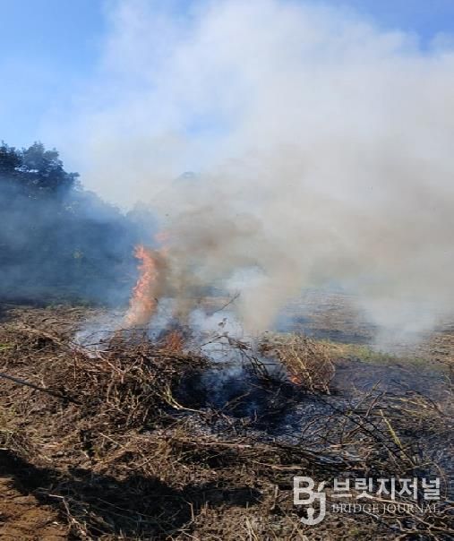 안성시, 농촌지역 산불․화재 예방 불법소각 집중단속 결과, 올해 81건 적발