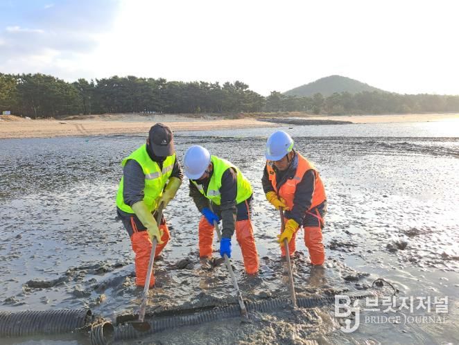 ‘패류 생산력 회복강화’ 인천 중구, 양식 어장 110ha 정화 사업 완료