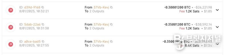 0.35 + 0.35 + 0.3 BTC 총 1비트코인을 출금해간 자료