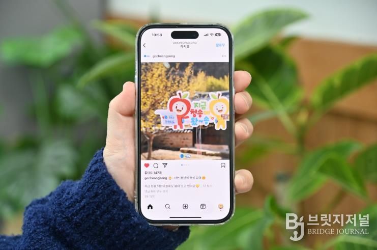 2026 청송군 SNS 홍보단 ‘온통청송’ 본격 활동 돌입