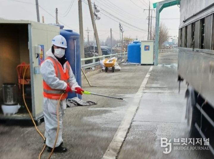 6만 3천 수 살처분 진행