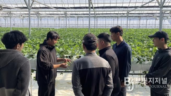 2026년 포천시 청년농부 학습동아리 교육생 모집