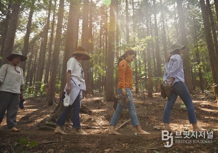 산림치유프로그램 오감걷기
