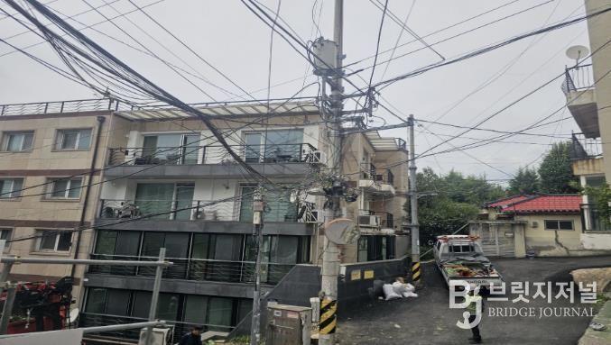 전선경합 위험수목 처리(후)