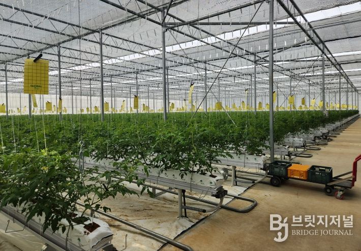 강화군, 올해 농업기술보급에 64억 투입… 첨단농업 전환 속도