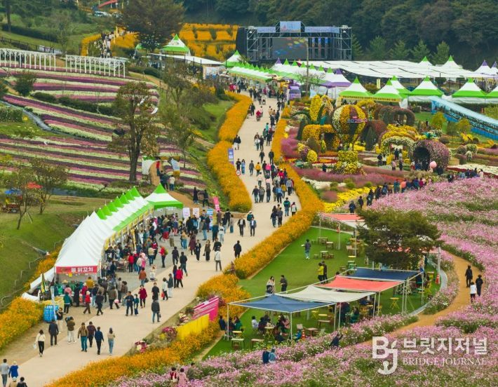 2025년 화순 고인돌 가을꽃 축제장 전경