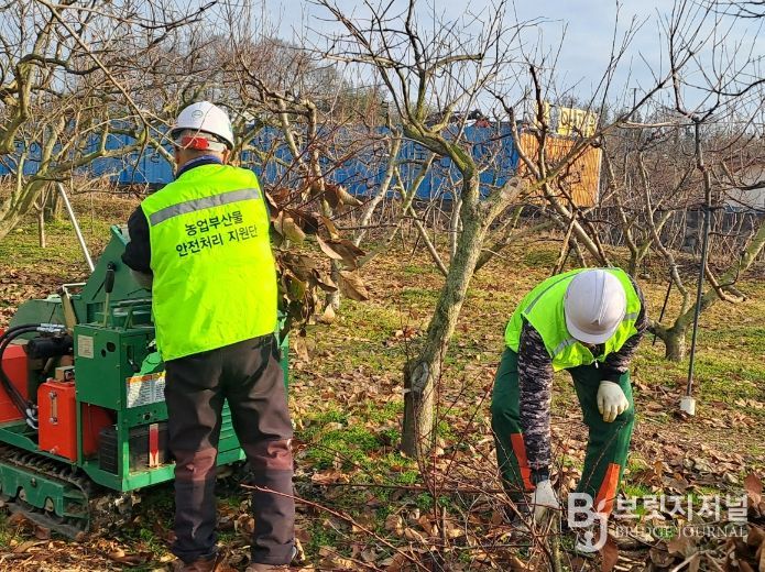 영농부산물 안전처리 지원단 운영 모습